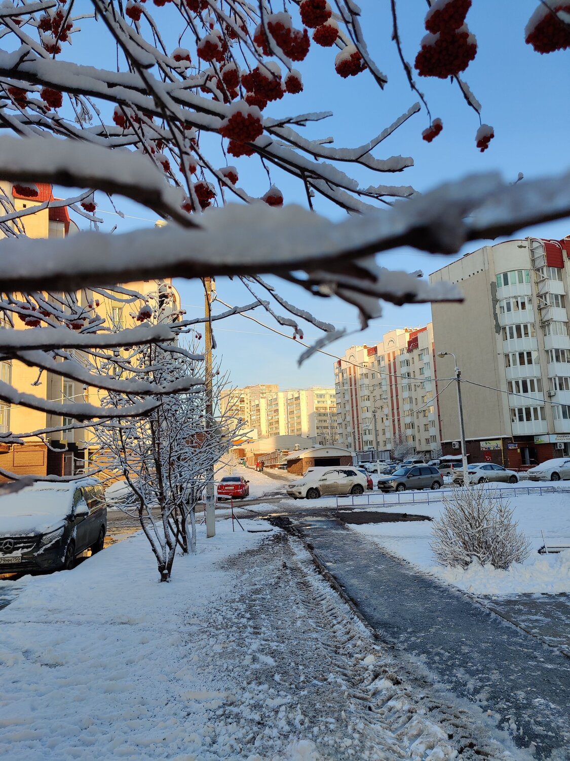 Photo #7378049