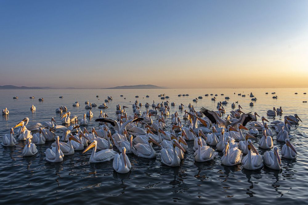 Photograph by Cuauhtemoc Pacheco Diaz