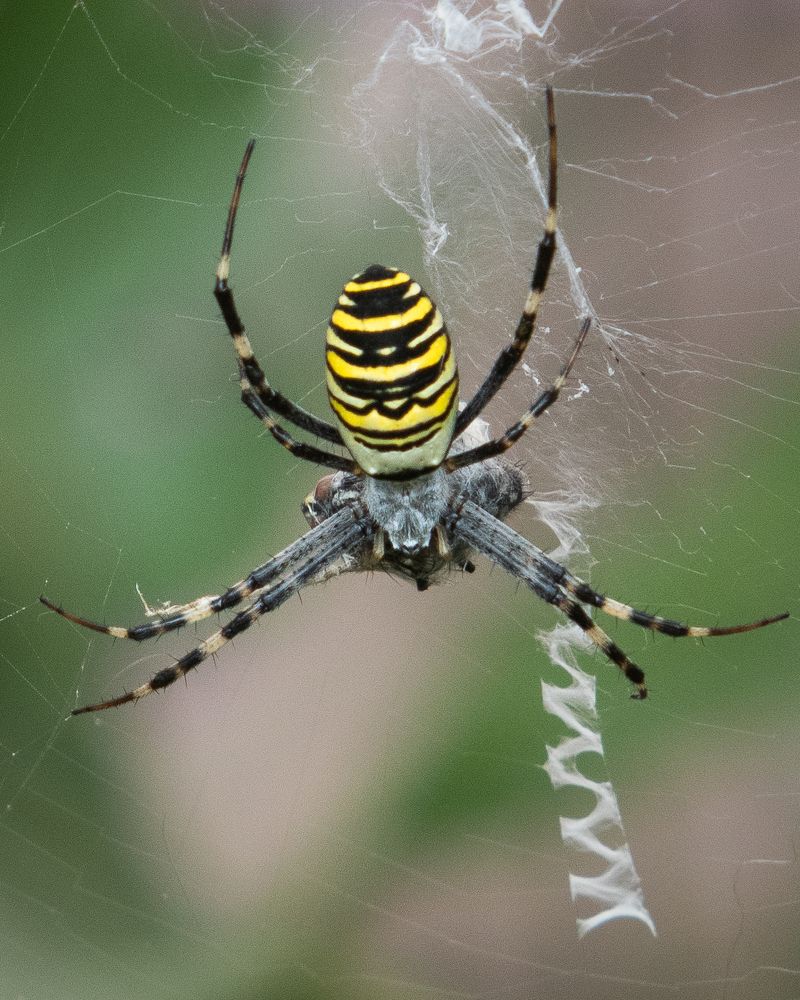 Photograph by Евгений Михеев