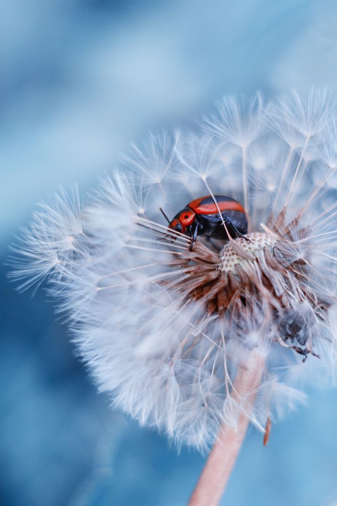 Photograph by Воинкова Ирина