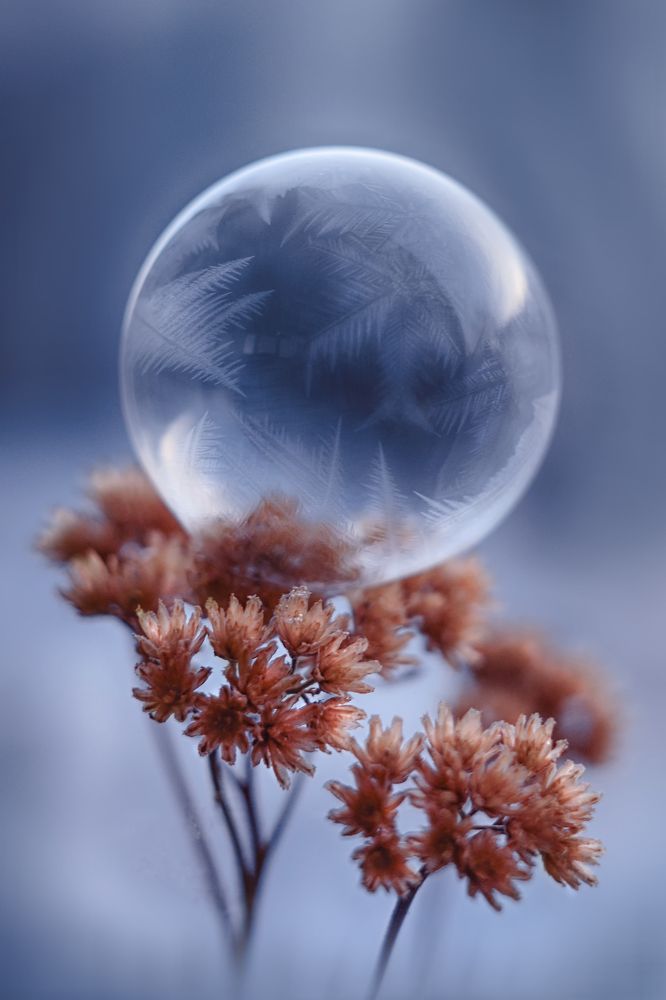 Photograph by Воинкова Ирина