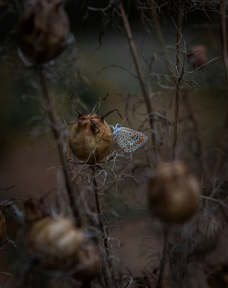 Photograph by Евгений Михеев