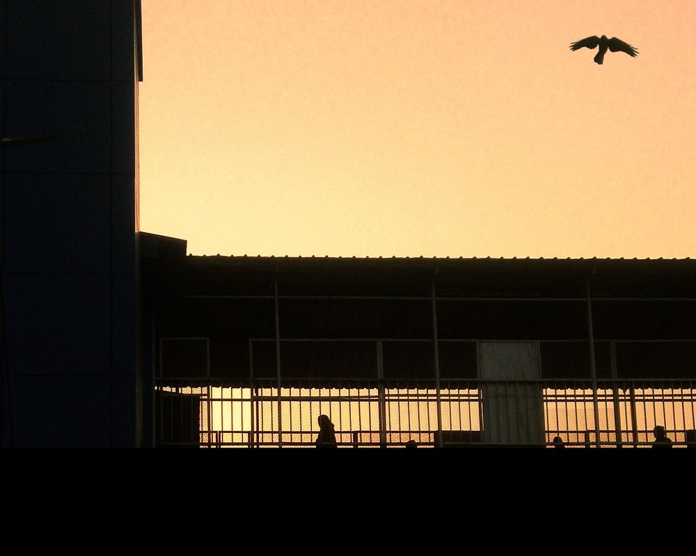 Silhouette