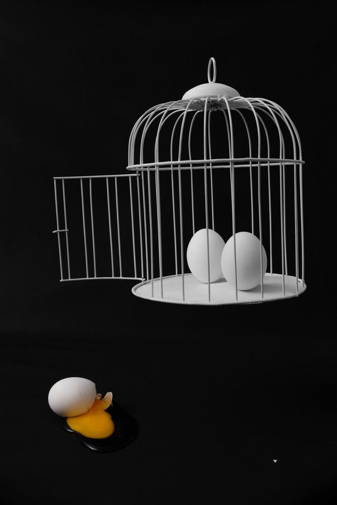 Photograph by Sandor Mejias Brito