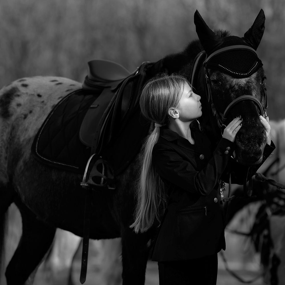 The first competition of the young rider.