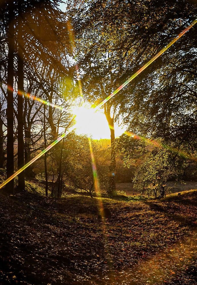 Photograph by Brian Egerton