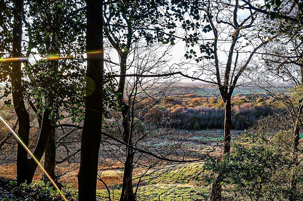 Photograph by Brian Egerton