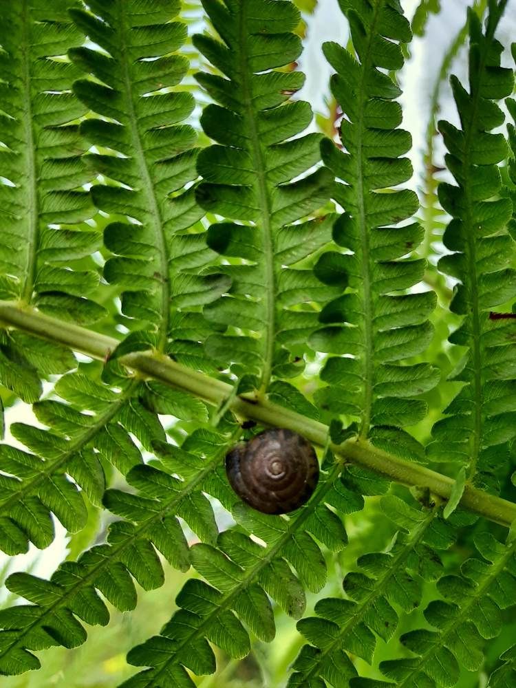 Photograph by Мария Глотова