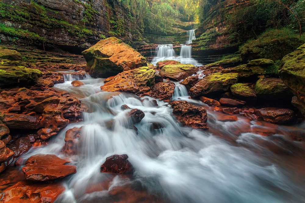 Photograph by Wann Majaw