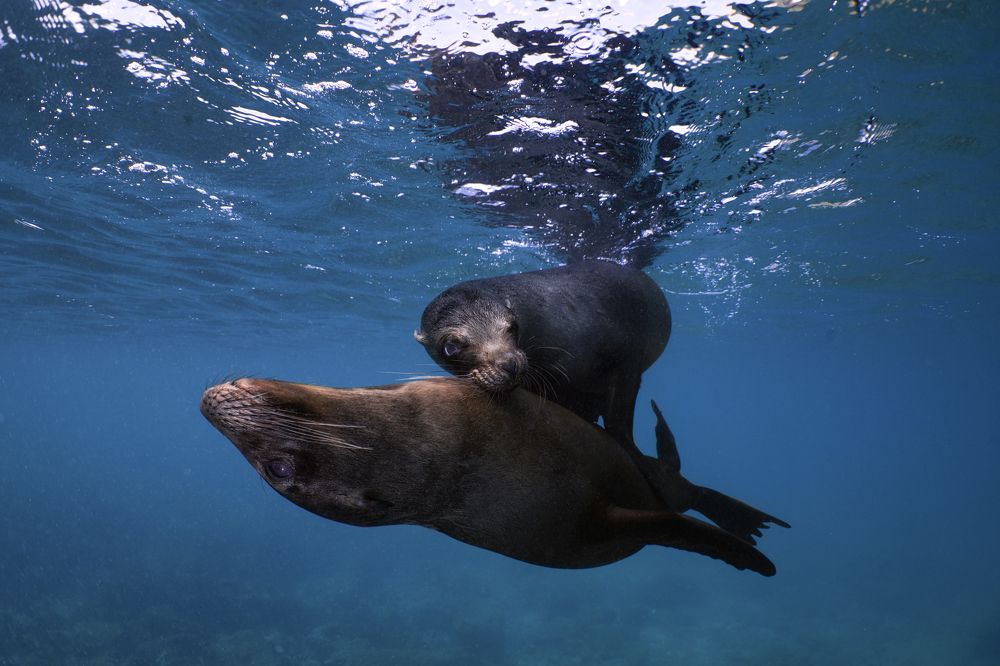 Photograph by daniele comin