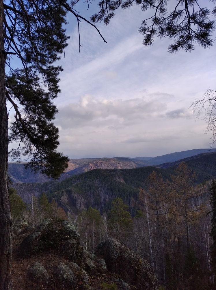 Калтатская видовка