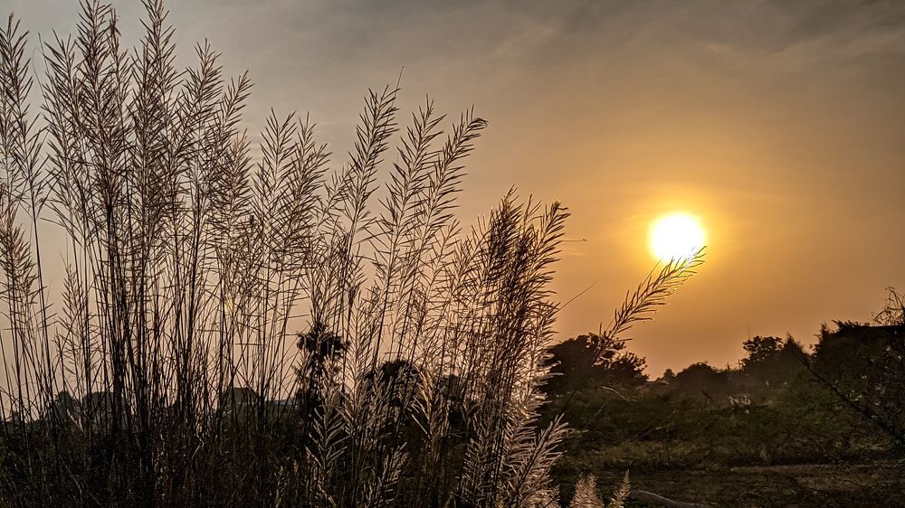 Photograph by Vijayakumar