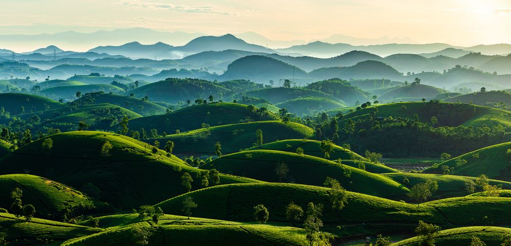 Photograph by Quyên Thu