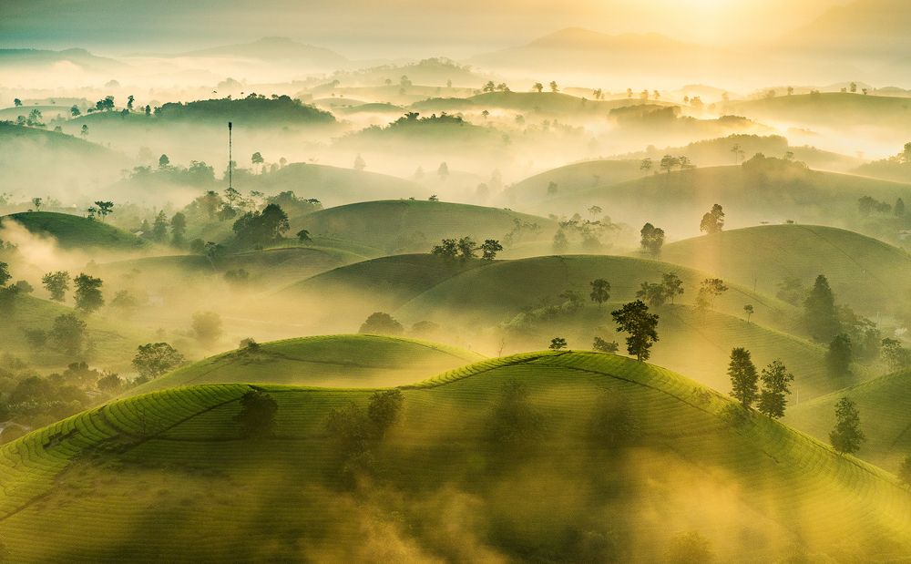 Photograph by Quyên Thu