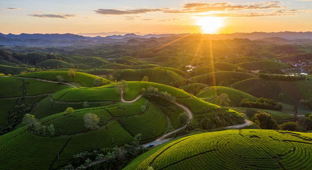 Photograph by Quyên Thu