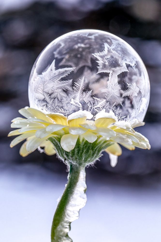 Фотография автора Зоя Галимова