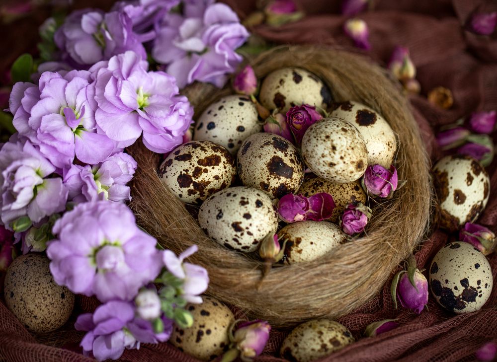 Фотография автора Зоя Галимова