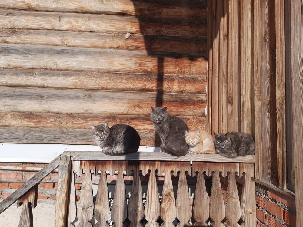 Photograph by Денис Геранькин