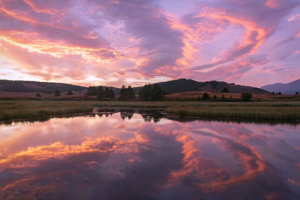 Сиреневый рассвет