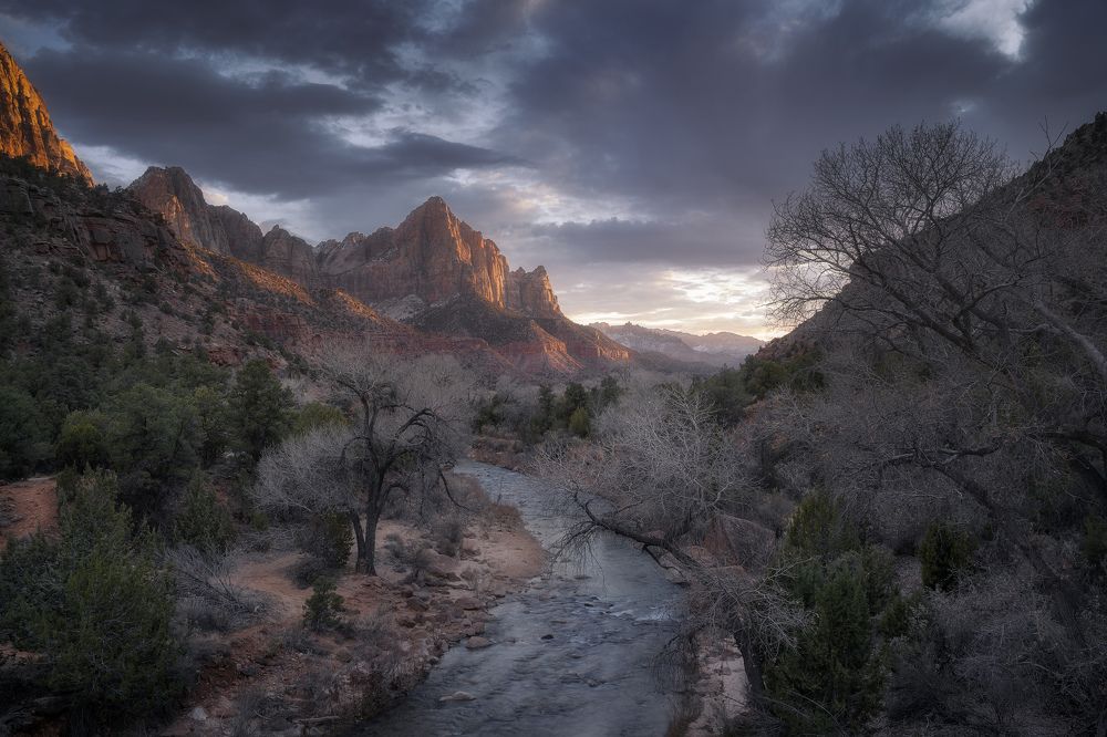 Photograph by Anastasiya Vasilyeva