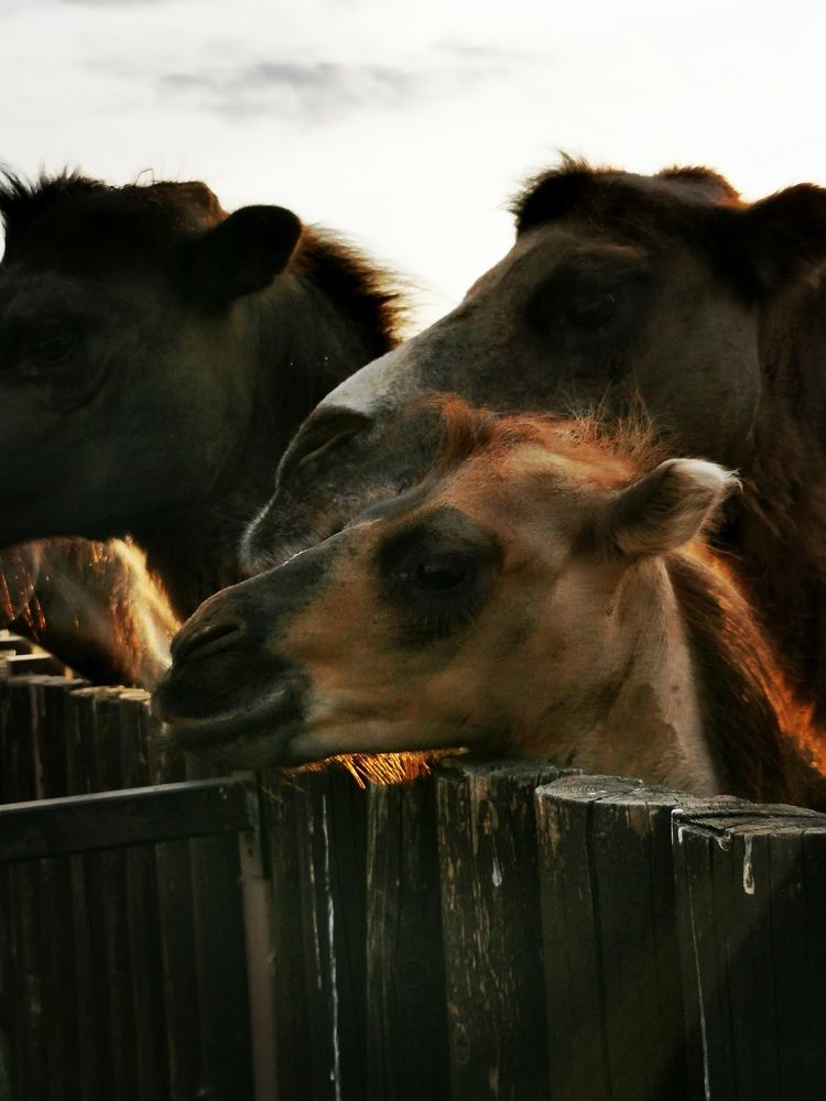 Photograph by Мария Бартош