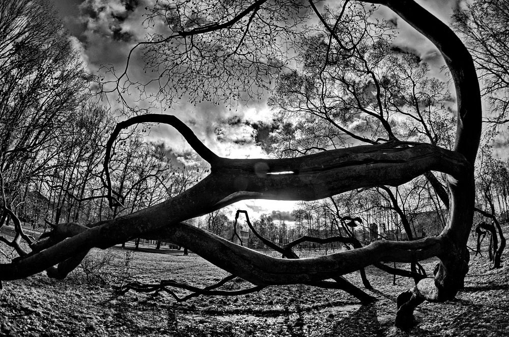 Photograph by Валерий Павлович