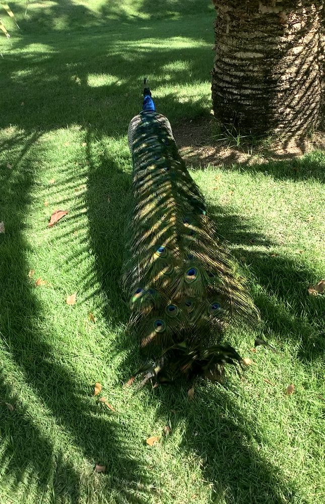 Photograph by Liliana Grup