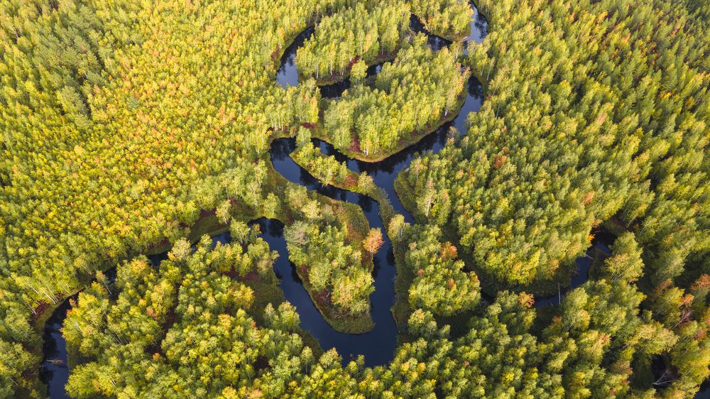 Photograph by Татьяна Борисова