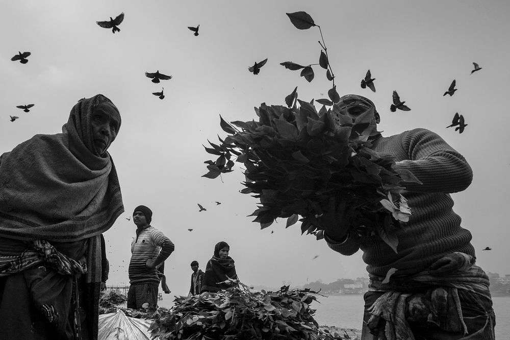 Malik Ghat Flower Market