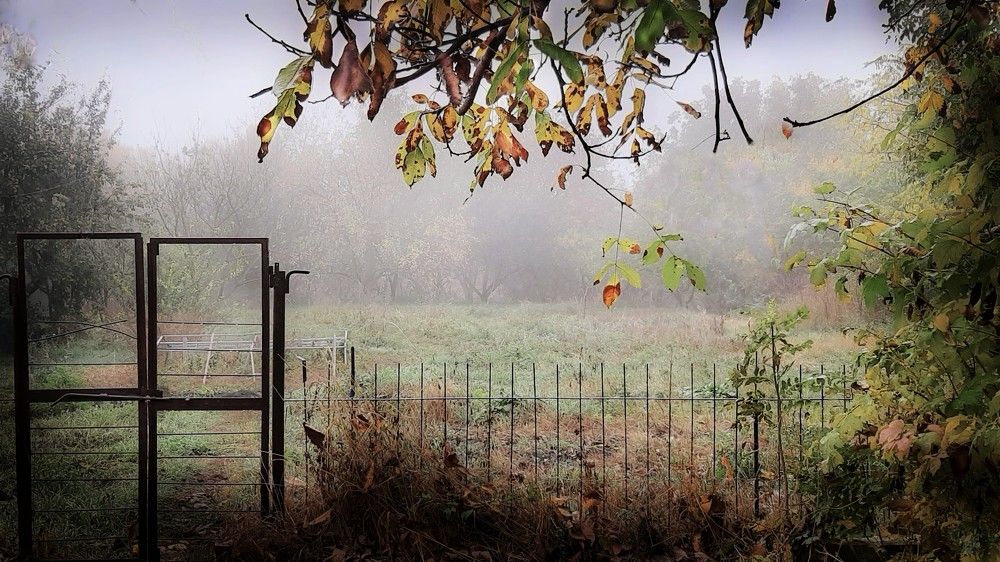 Photograph by Леонид Борисенко