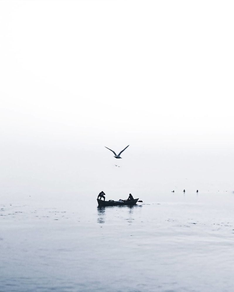 Minimal fishing