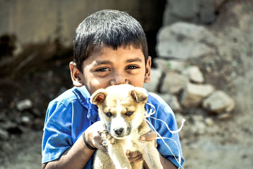 Фотография автора Karukola Puneeth