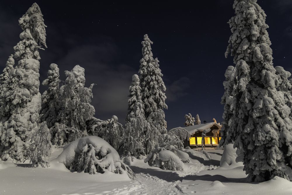 Фотография автора Katrin Lillenthal