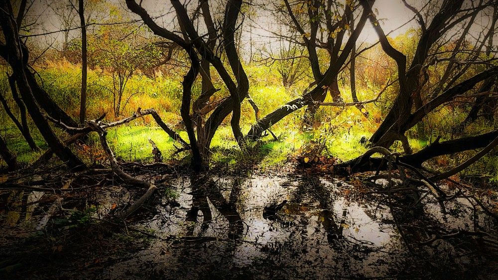 Photograph by Леонид Борисенко