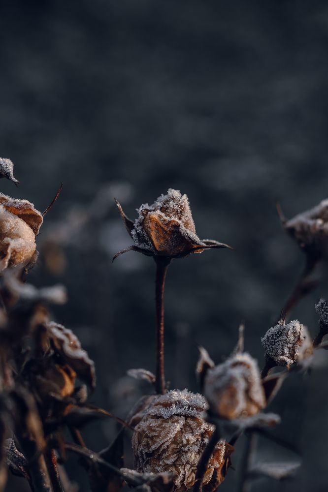 Photograph by Ахсарбек Абаев