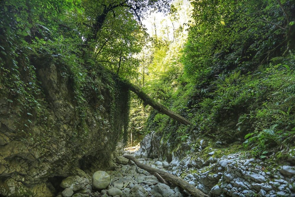 Photograph by Евгений Ильин