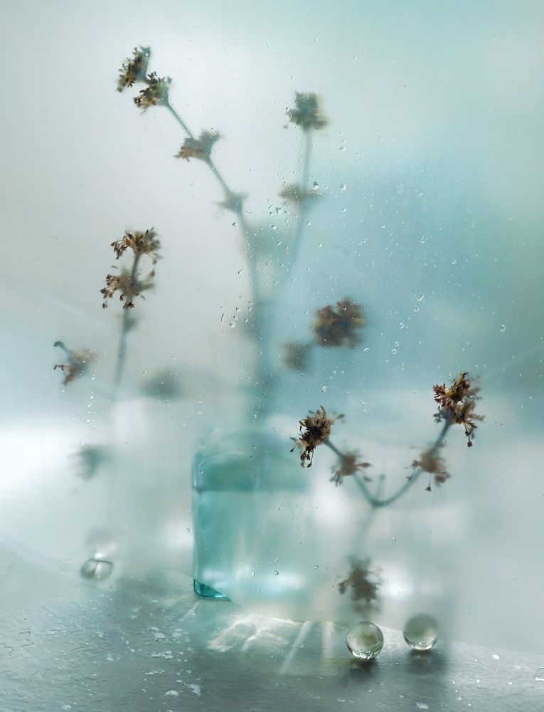 Photograph by Viktoriya Matveeva