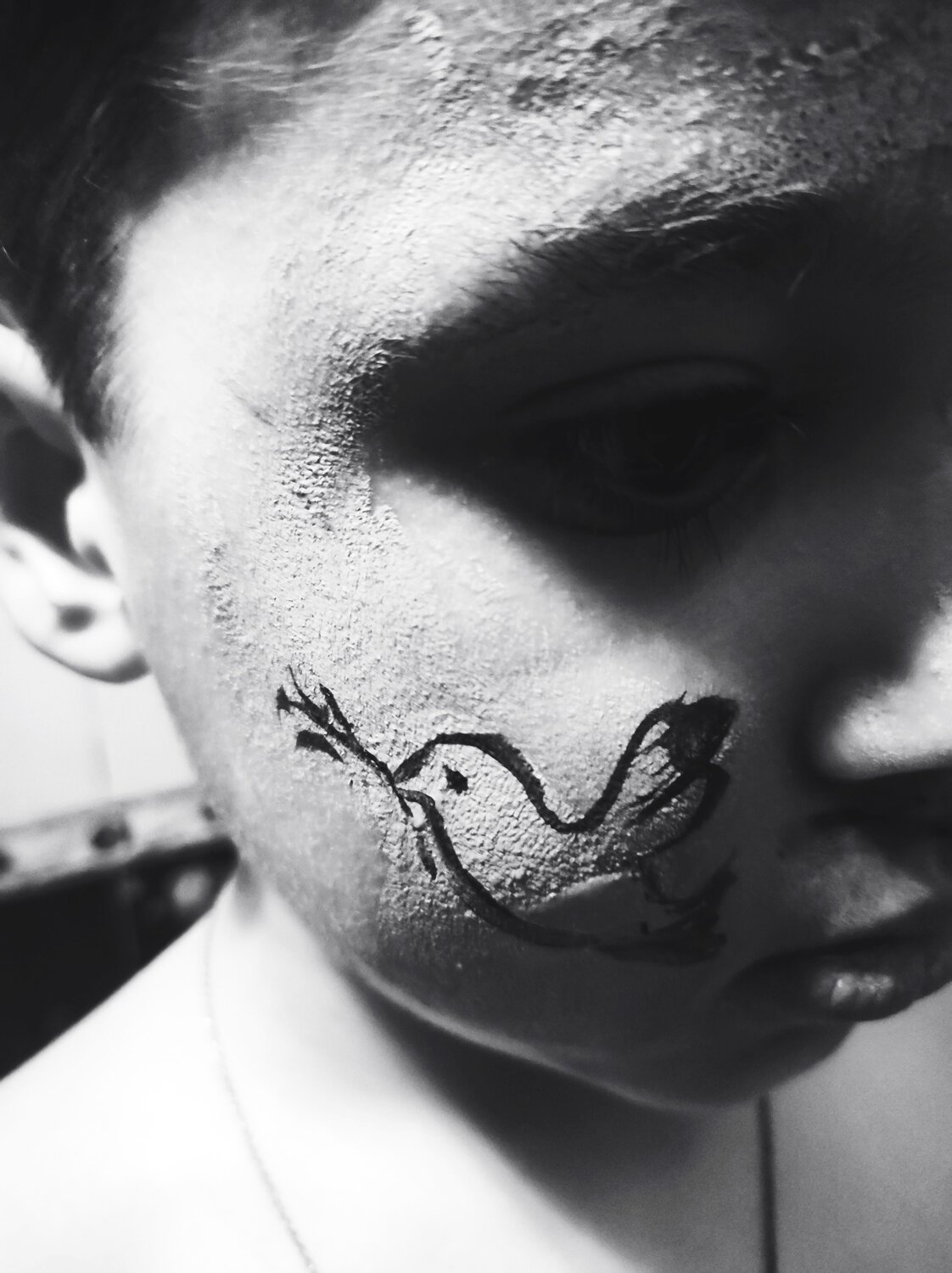 Photo #7378751