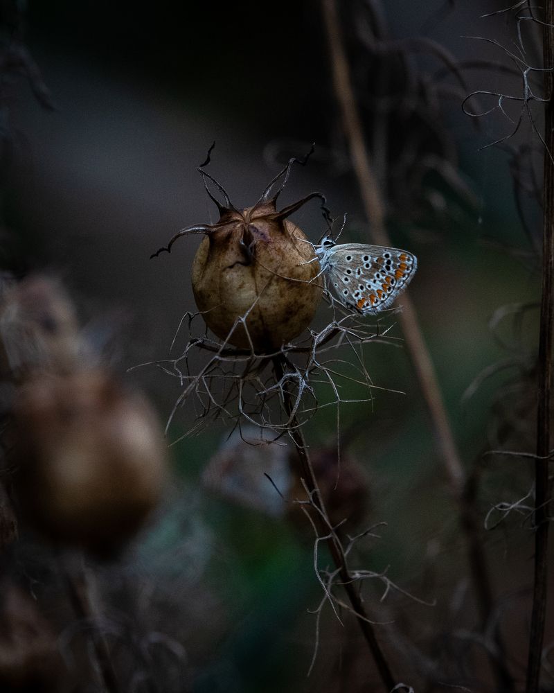 Photograph by Евгений Михеев