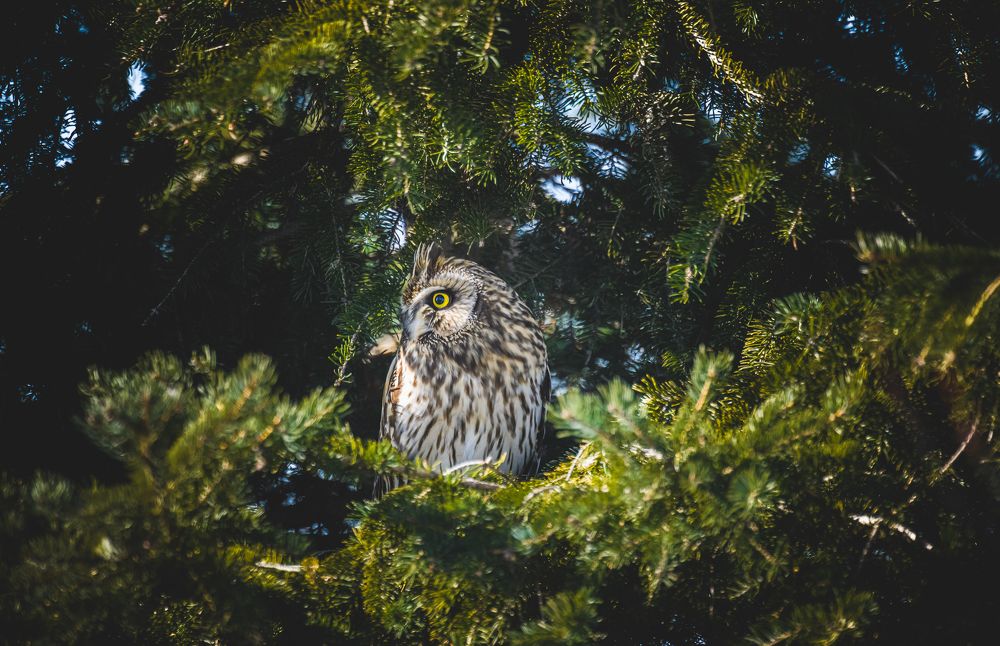 Photograph by Rakesh Baro