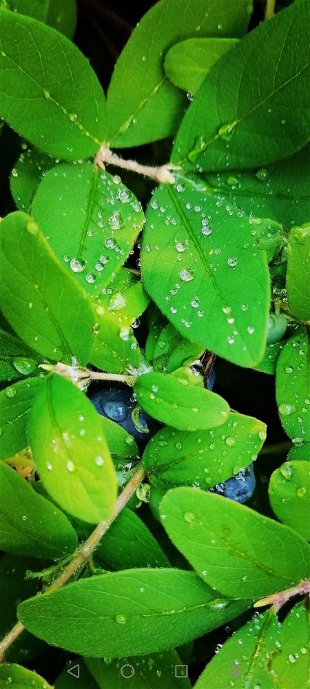 Photograph by Наталья Веряскина