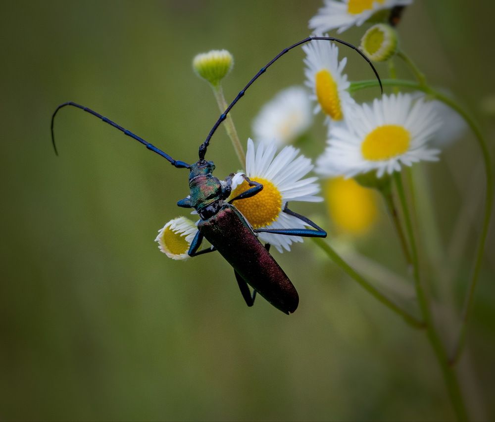Photograph by Евгений Михеев