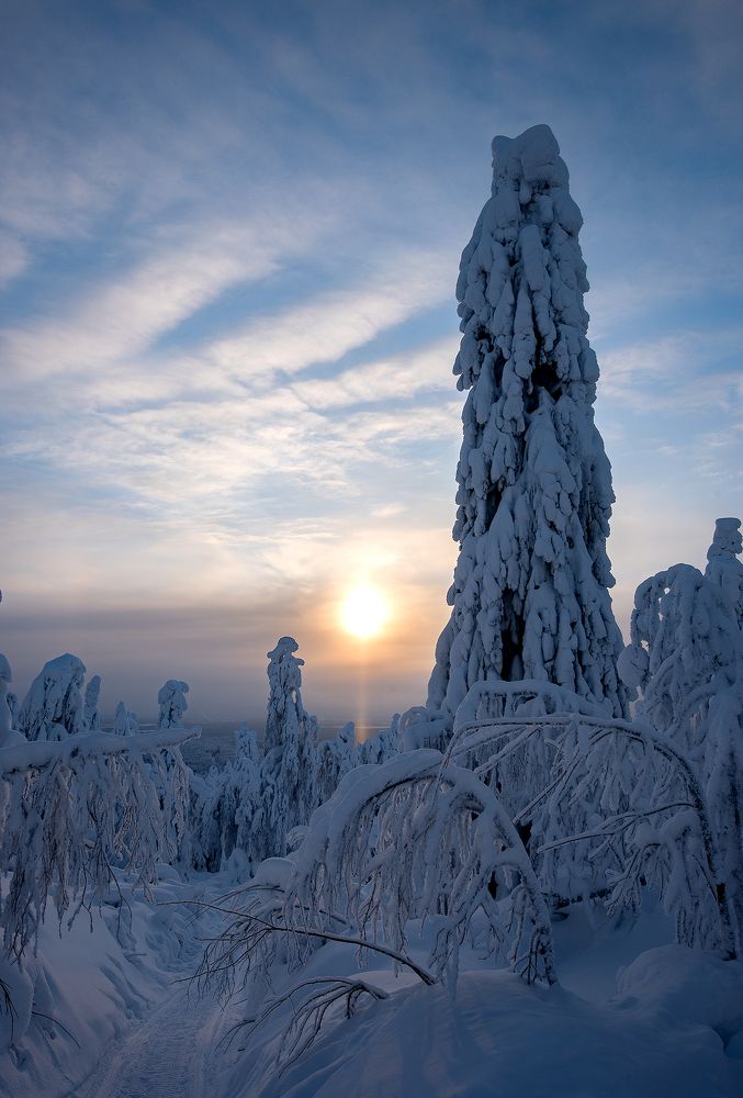 Фотография автора Сергей Сынтин