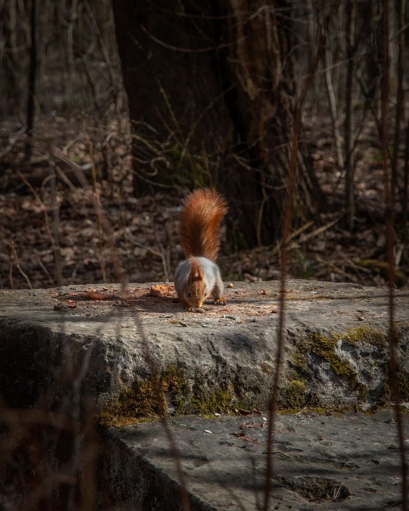 Photograph by Евгений Михеев