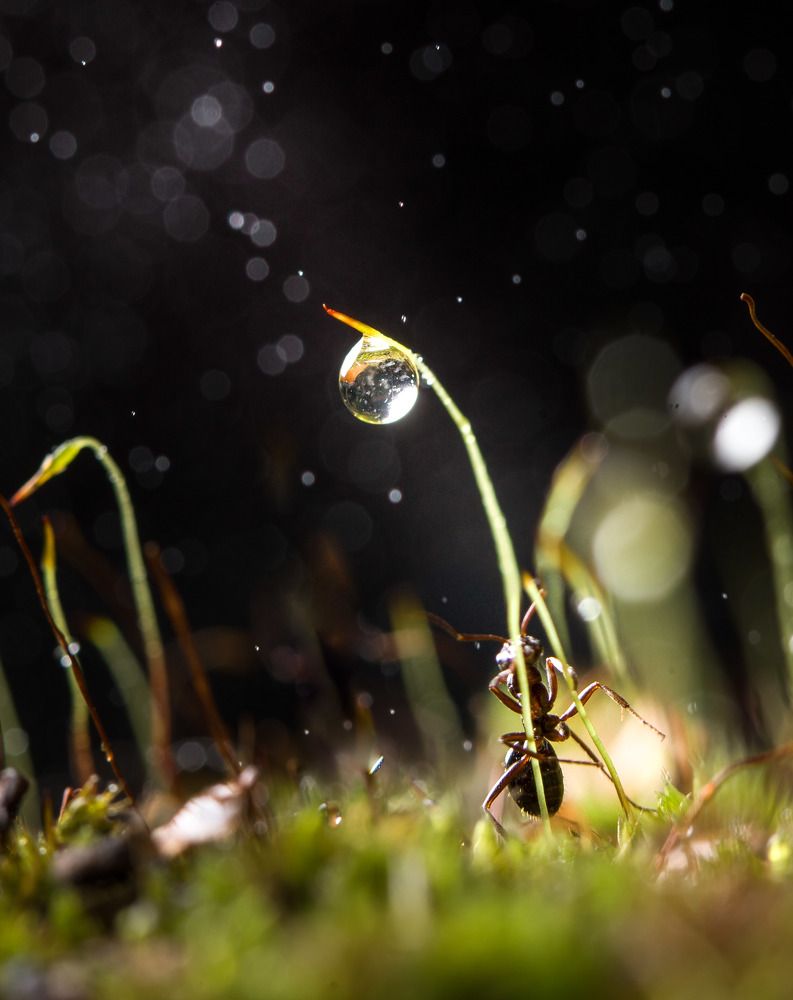 Photograph by Наталья Оконешникова