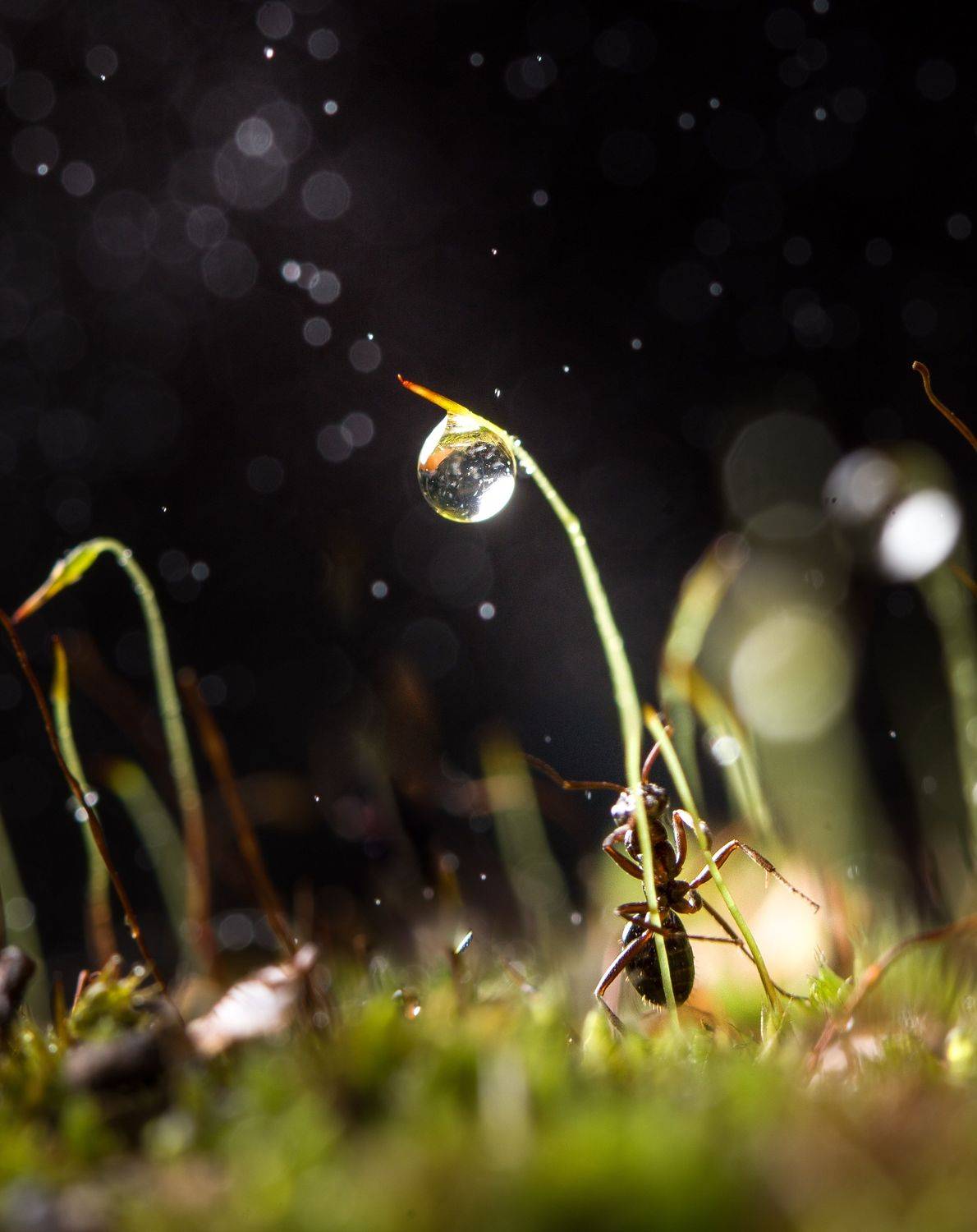 Фотография #7378851