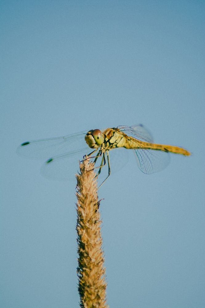 Photograph by Сергей Долгий