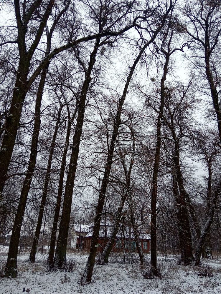 Фотография автора Наталья Изотова