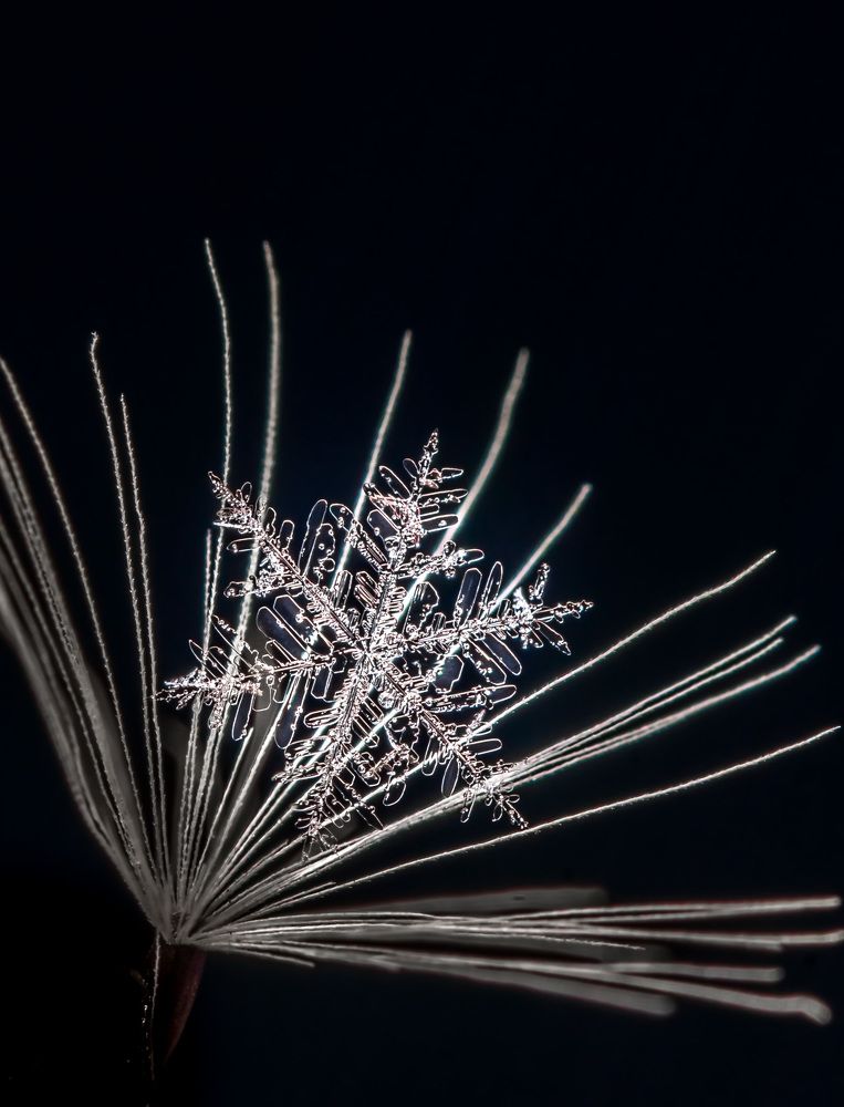 Photograph by Наталья Оконешникова