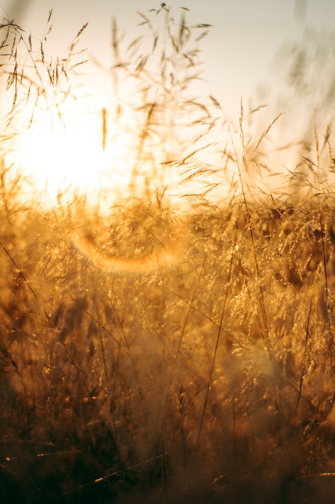 Photograph by Сергей Долгий